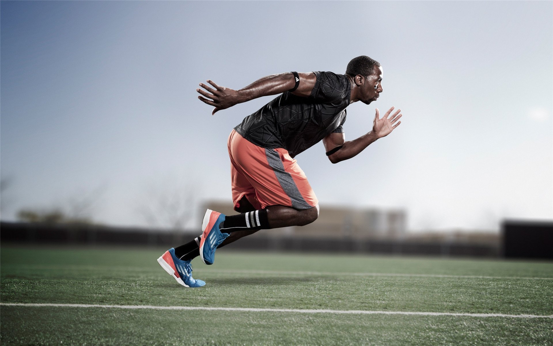 绿色环保足球场推广,助力可持续发展目标,足球场绿化